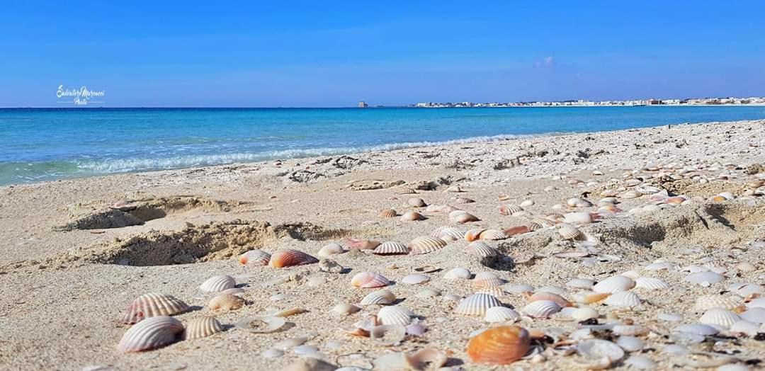 Masseria La Lizza - Ospitalita Rurale Λέτσε Εξωτερικό φωτογραφία