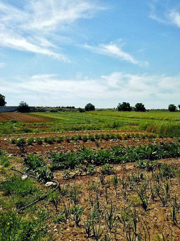 Masseria La Lizza - Ospitalita Rurale Λέτσε Εξωτερικό φωτογραφία